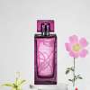 LALIQUE AMETHYST FOR WOMEN EDP 100 ML