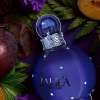 BRITNEY SPEARS FANTASY MIDNIGHT FOR WOMEN EDP 100 ML - TESTER
