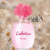 GRES CABOTINE ROSE FOR WOMEN EDT 100 ML - TESTER