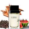 CAROLINA HERRERA CHIC FOR MEN EDT 100 ML - TESTER