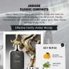 JAGUAR CLASSIC CHROMITE FOR MEN EDT 100 ML