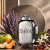 COACH PURE PLATINUM FOR MEN PARFUM 100 ML