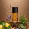 DUNHILL FOR MEN EDT 100 ML