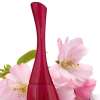 KENZO AMOUR FOR WOMEN EDP 100 ML