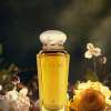 MAISON ALHAMBRA ATHENA FOR WOMEN EDP 100 ML