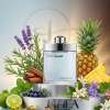 MONTBLANC INDIVIDUEL FOR MEN EDT 75 ML - TESTER