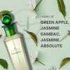 ROYAL MIRAGE JASMINE FOR UNISEX EDT 100 ML