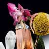 THIERRY MUGLER ALIEN GODESS SUPRA FLORALE FOR WOMEN EDP 90 ML
