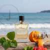 HERMES TERRE D HERMES FOR MEN EDT 100 ML - GIFT SET