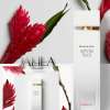 ELIZABETH ARDEN WHITE TEA GINGER LILY FOR WOMEN EDT 100 ML