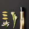 GIORGIO ARMANI ARMANI CODE ABSOLU FOR WOMEN EDP 75 ML