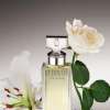 CALVIN KLEIN ETERNITY FOR WOMEN EDP 100 ML - NEW PACKAGING