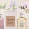ABERCROMBIE &amp; FITCH AUTHENTIC MOMENT FOR WOMEN EDP 100 ML