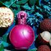 BRITNEY SPEARS FANTASY FOR WOMEN EDT 100 ML