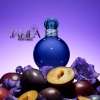 BRITNEY SPEARS FANTASY MIDNIGHT FOR WOMEN EDP 100 ML - TESTER