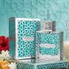 RAYHAAN AQUATICA FOR MEN EDP 100 ML