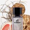 BURBERRY MR BURBERRY FOR MEN EDT 100 ML